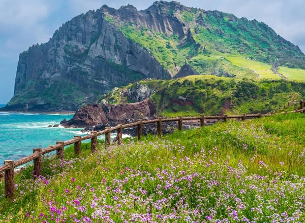 Magazine Jeju Island Special Edition