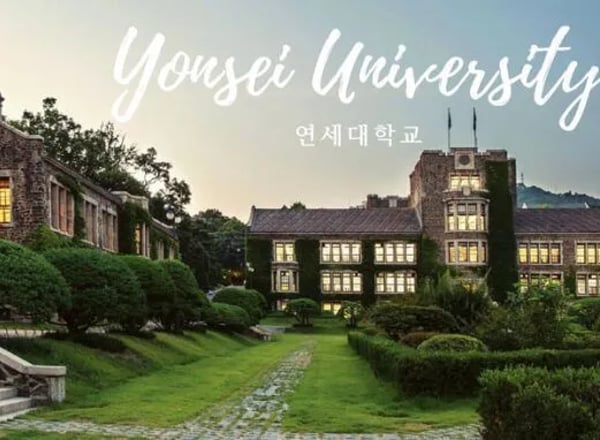 연세대학교