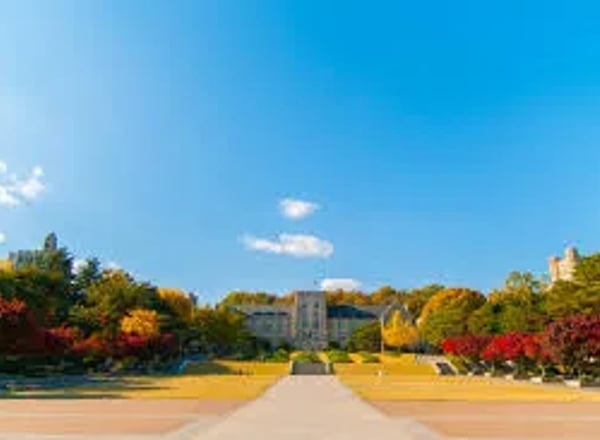 고려대학교