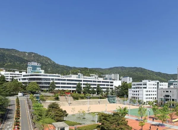부산대학교