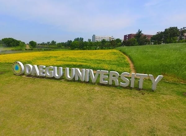 대구대학교