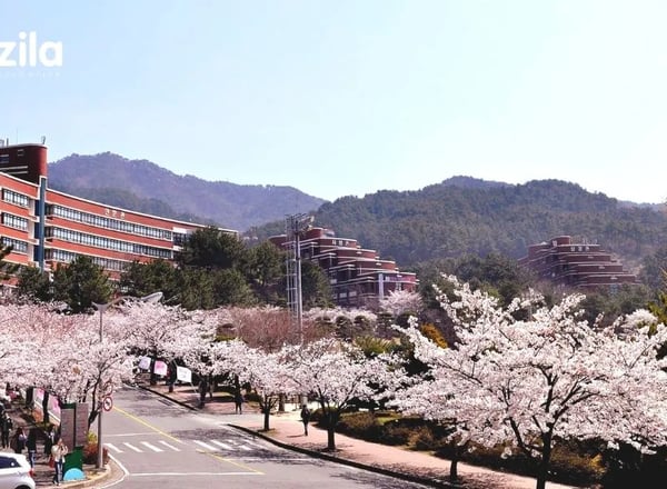 신라대학교