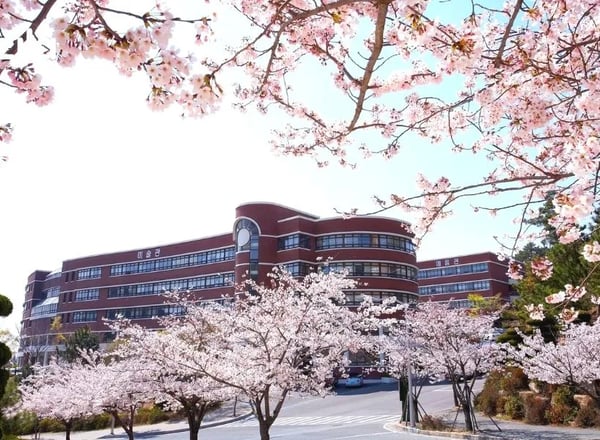 신라대학교