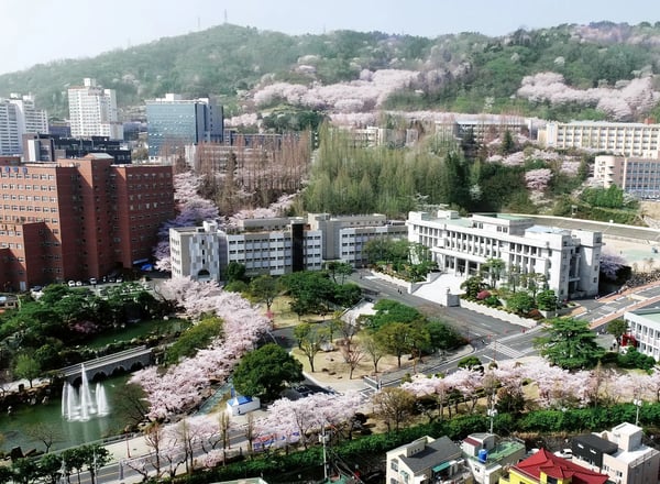 경남대학교
