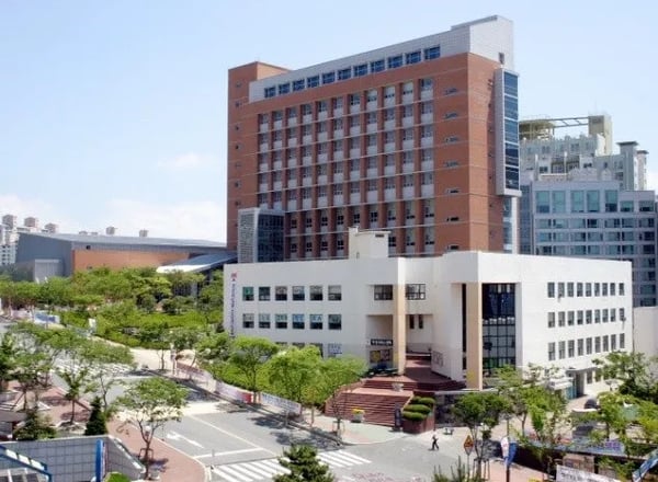경성대학교