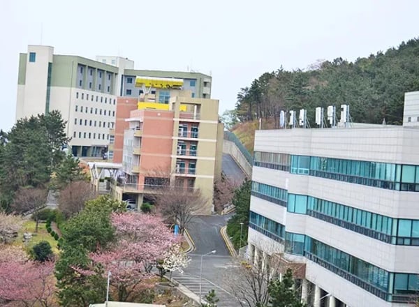 고신대학교