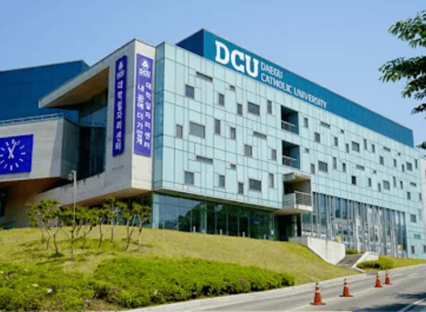 대구가톨릭대학교