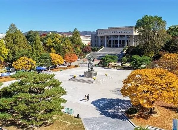 강원대학교