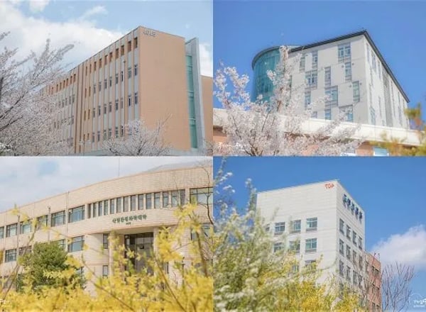 강원대학교