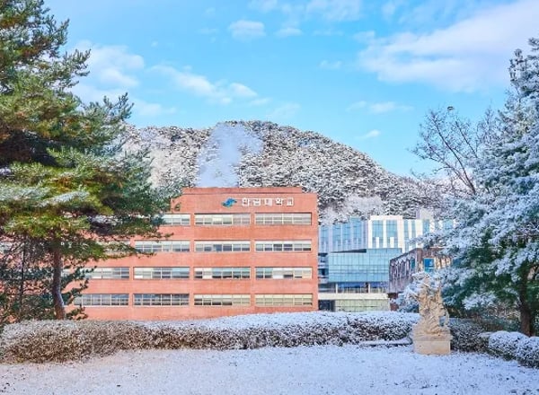 한림대학교
