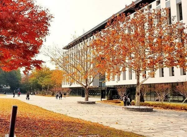 충북대학교