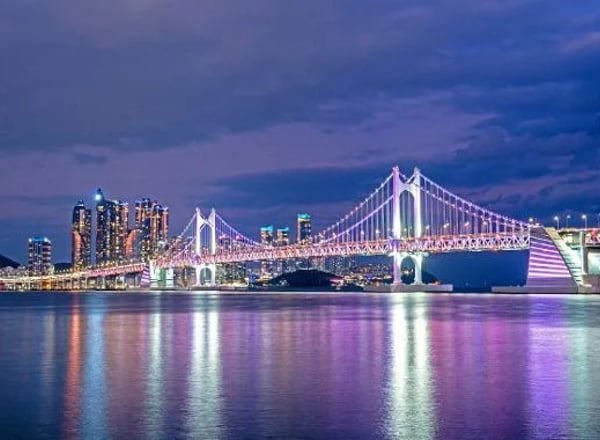 부산 세븐브릿지 일일 투어ㅣ부산 출발