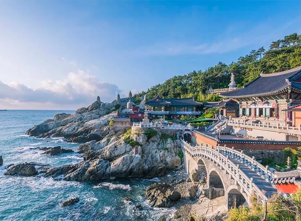 부산해변열차 + 해동용궁사 + 송정해수욕장 + 송도스카이워크 + 감천문화마을 일일투어 | 부산출발