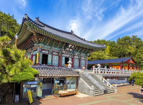 부산해변열차 + 해동용궁사 + 송정해수욕장 + 송도스카이워크 + 감천문화마을 일일투어 | 부산출발