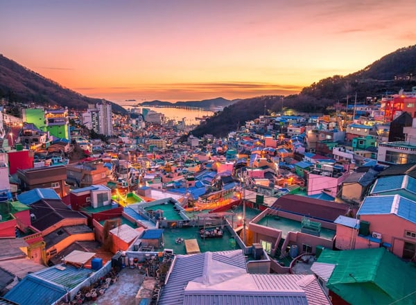 부산해변열차 + 해동용궁사 + 송정해수욕장 + 송도스카이워크 + 감천문화마을 일일투어 | 부산출발