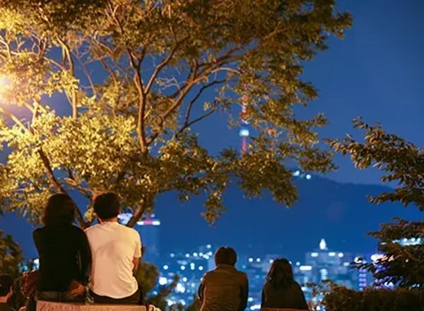서울 나이트 투어: 북악스카이웨이 & 낙산공원 코스