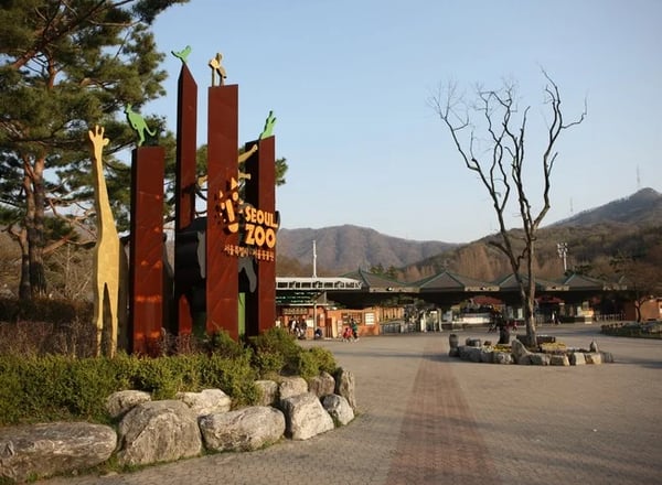 경기도 1일여행 (과천 서울랜드 + 용인민속마을)