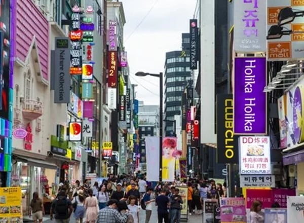식사 포함 관광지 입장료 전용 차량 가이드/물품 비용