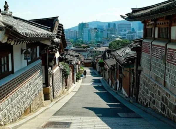 식사 포함 관광지 입장료 전용 차량 가이드/물품 비용