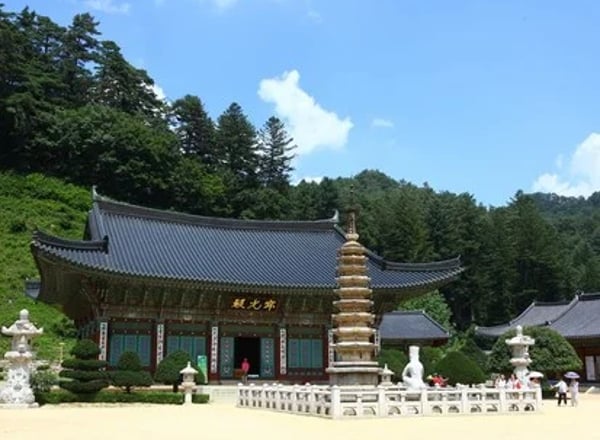 평창&정선 2일투어(메도우코스·스카이로드·감각여행) – 서울출발