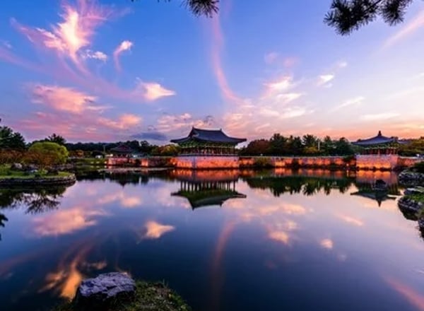 경상도 3일 투어 (경주·부산)