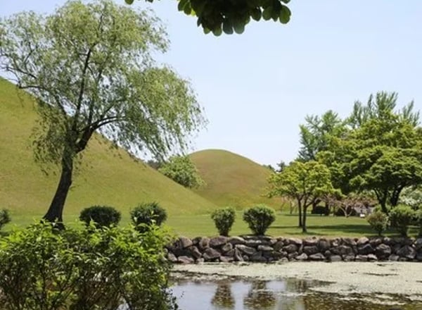 경상도 3일 투어 (경주·부산)