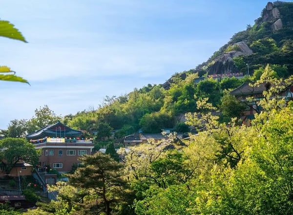 고스트 투어 | 도보 여행