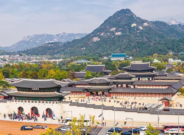 가이드와 함께 경복궁 오전 투어