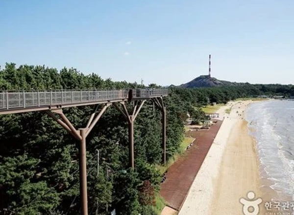 외국인을 위한 한국여행 - 서해안 2박 3일(목포, 해남, 고창)