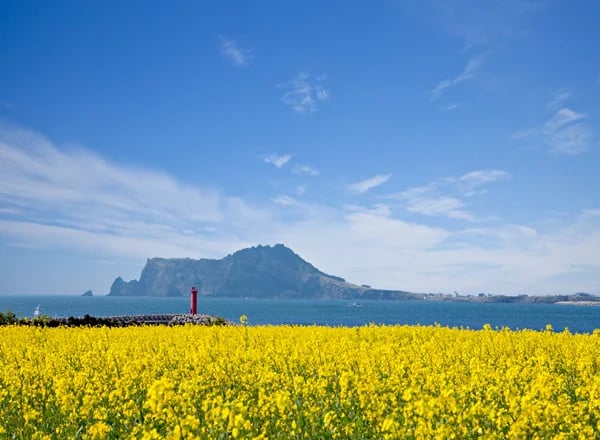 한국 전국 일주 – 문화, 자연, 도시 탐방 13일