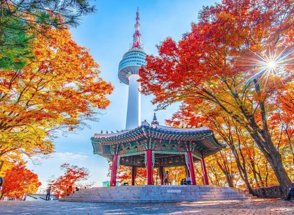 서울 꼭 가봐야 할 하이라이트 일일 투어ㅣ서울 출발