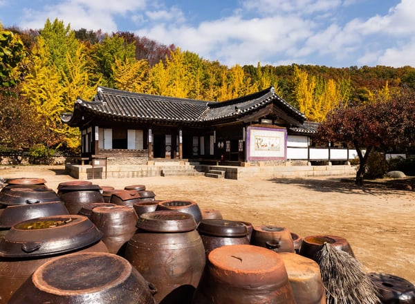 경기도 1일여행 (과천 서울랜드 + 용인민속마을)