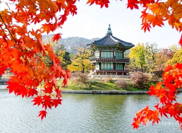 tour/tfd_240930042839_303951_Gyeongbokgung - Autumn.jpg