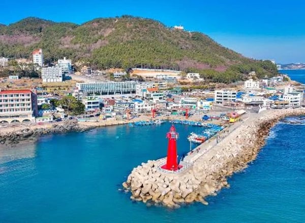 한국 인플루언서 4박 5일 투어 – 서울 2박 & 부산 2박 (노쇼핑 / 노옵션 / 노팁)