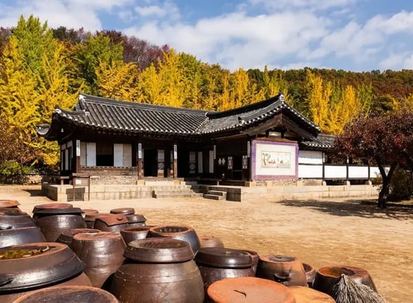 한국의 과거와 현재가 공존하는 타임머신 여행 (한국민속촌, 수원화성 등 일일 투어)