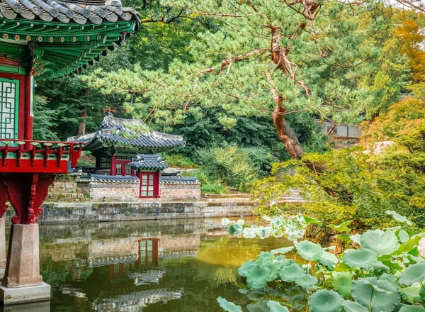 외국인 전용 서울 일일 투어 - 창덕궁, 전쟁기념관, 서울스카이