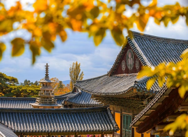 Type1_불국사_두드림_z0WAWa.jpg