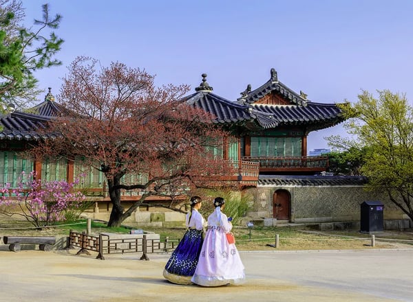 외국인 전용 서울 일일 투어 – 창덕궁, 전쟁기념관, 서울스카이
